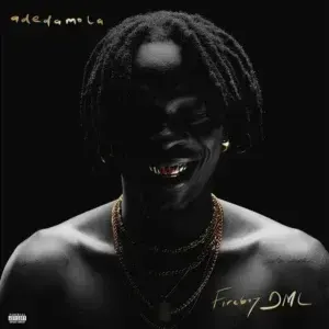 Fireboy DML – everyday
